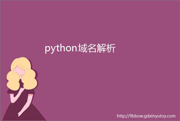 python域名解析